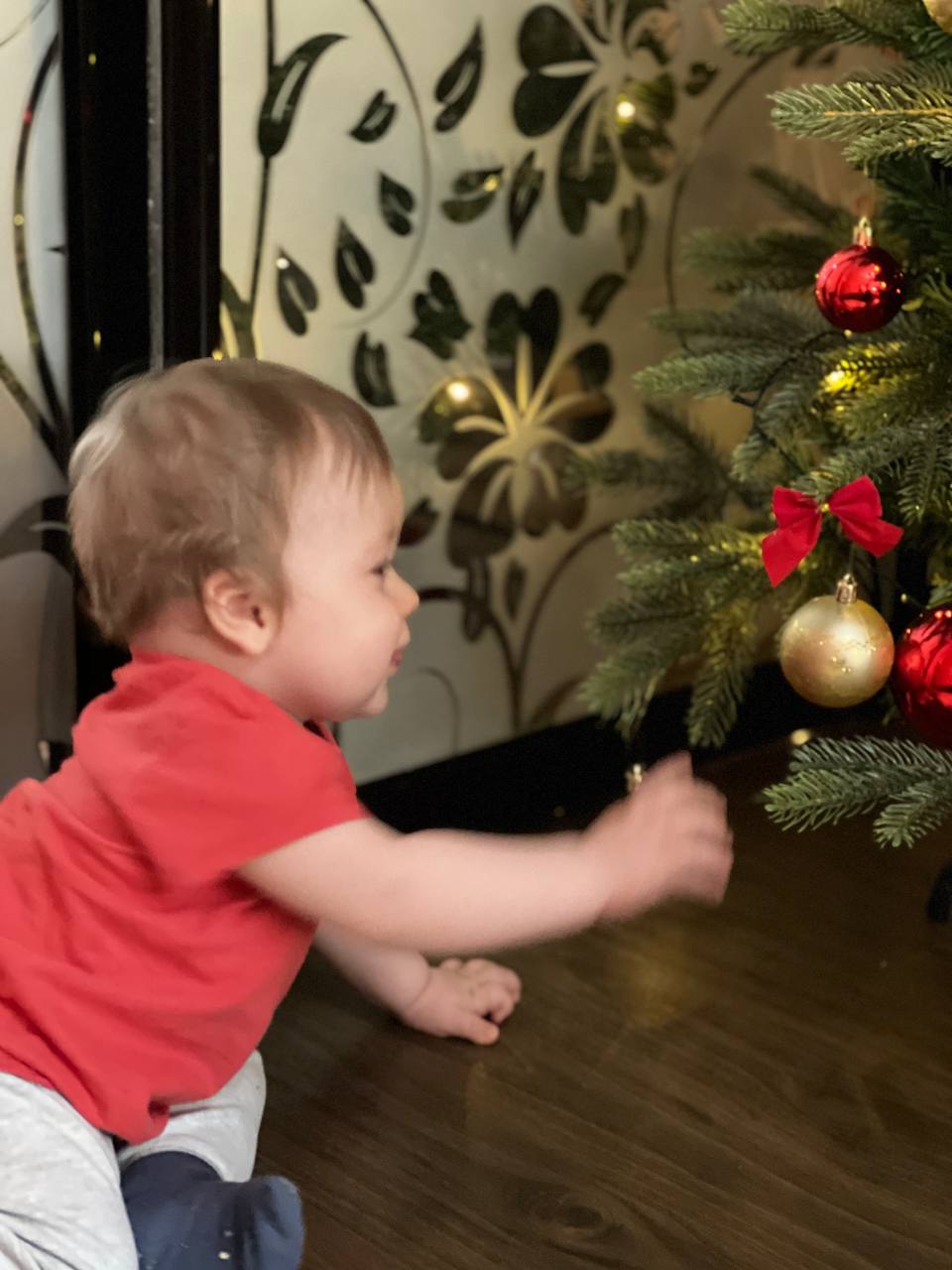 Заметки о племяннике Максиме (№1): первый виток вокруг Солнца